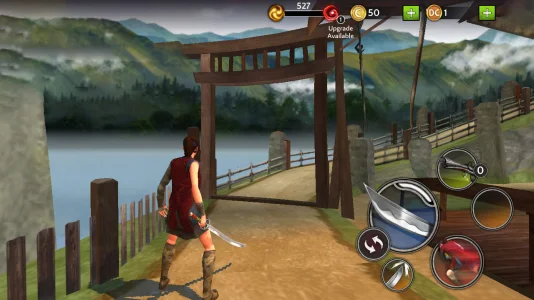 Ninja Ryuko: Shadow Ninja Game (MOD, Immortality)